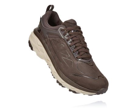 Hoka One One Challenger Low GORE-TEX - Tenis Corrida Largos Homem Cafes | PT-uufQhsR